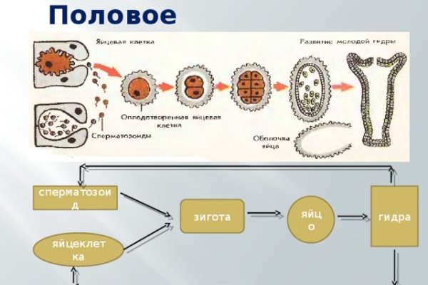 Omg площадка